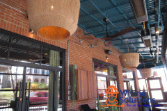 Taco-Restaurant-Final-10