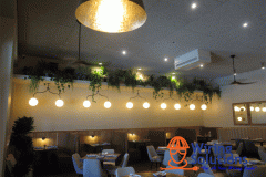 Taco-Restaurant-Final-30